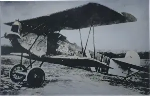 Dvii: Fokker DVII, (forward view, on the ground)