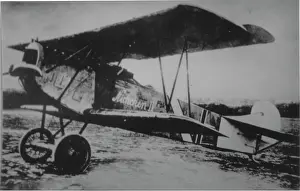 Dvii: Fokker DVII, (forward view, on the ground)