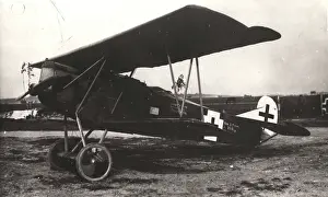Dvii: Fokker DVII in German markings