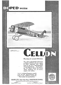 Doped: Fokker DXVI Doped With Cellon
