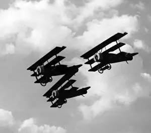 Triplane: Fokker Triplanes