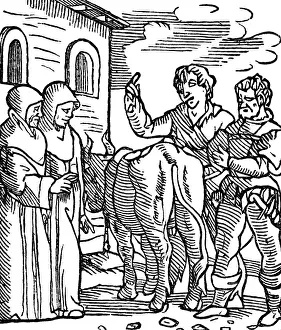 Opus: Folengo, Teofilo, 1491 - 9.12.1544, Italian clergyman
