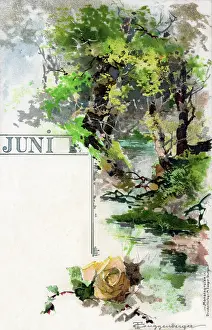 Guggenberger: Foliage, plants and flowers which appear in June