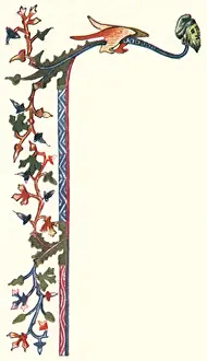 Terminus: Foliate Trail Border