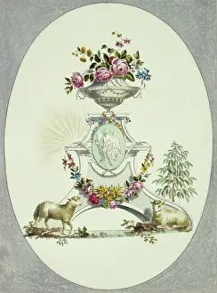 Bovidae: Folio 16 from A Collection of Flowers by John Edwards