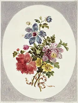 1768 1795: Folio 17 from A Collection of Flowers by John Edwards