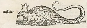 Basilisk: Folklore: Basilisk
