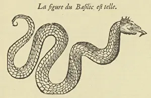 Serpents: Folklore - Basilisk