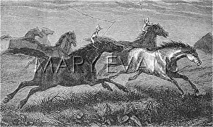 Follet: FOLKLORE/FOLLET