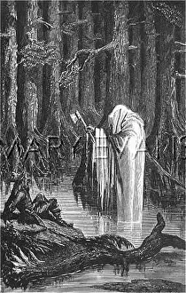 Mythical Creatures: FOLKLORE/FOREST SPIRIT