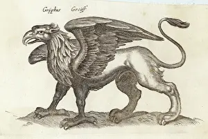 Gryphon: Folklore - Gryphon