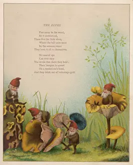 Gnomes: Folklore - Little Folk