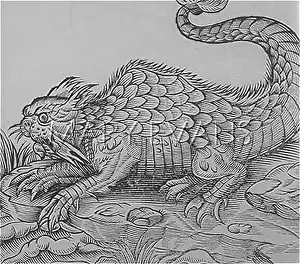 Poisson: FOLKLORE/OROBON