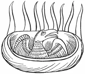 Spices: FOLKLORE/PHOENIX