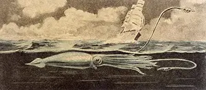 Alike: Folklore - Sea Serpent