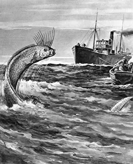 Alike: FOLKLORE/SEA SERPENT