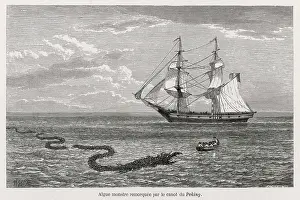 Alike: Folklore - Sea Serpent