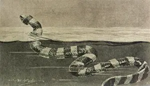 Alike: Folklore - Sea Serpent