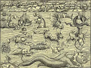 Doubtless: Folklore - Sea Serpent