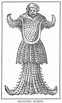 Gesner: Folklore - Sea Serpent