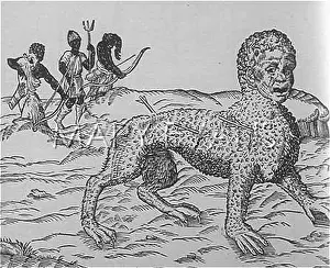 Beste: FOLKLORE/TANACTH