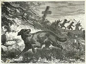 Werewolves: Folklore - Werewolves