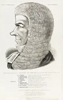 Phrenological: Follit's Phrenology No.2