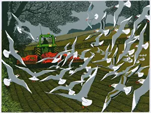 Follows: Following the Harrow