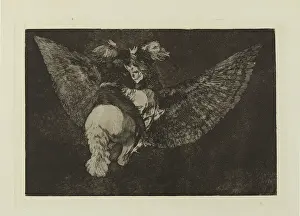Disparate: Folly on the wing