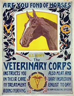 Fond: Are you fond of horses - US Army - The Veterinary Corps inst