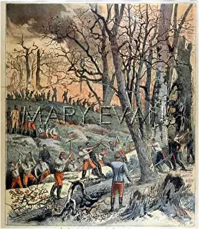 Fontainbleau: FONTAINEBLEAU FIRE/1893