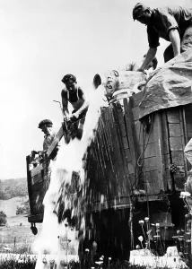 Cans: Food destruction during the Great Depression