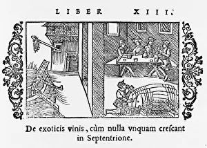 Wines: FOOD AND DRINK/WINE
