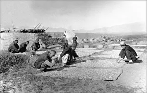 Mats: Food drying or sorting in Kashgar, western China