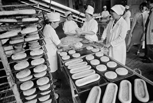 Bakery: Food Factory