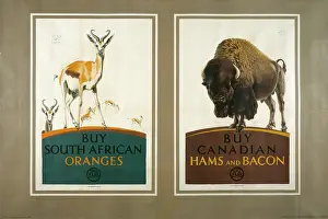Hams: Food posters
