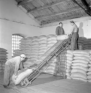 Mucha: Food storage - wholesale - sacks - perishable goods