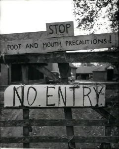 Mobilised: Foot and mouth disease