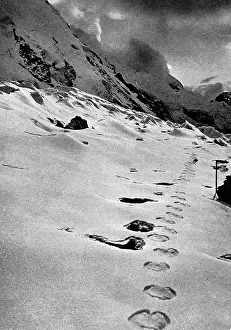 Langur: Footprints of a mysterious creature in the Himalayan mountai