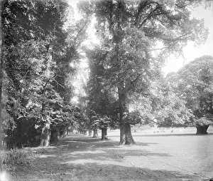 Foots: Foots Cray Place