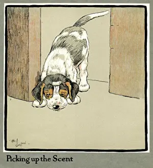 Interesting: Forager the puppy picks up a scent