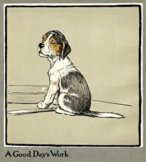 Forager: Forager the puppy sits by the empty plate