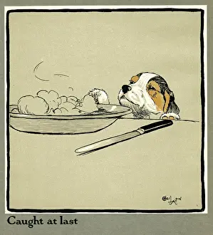 Forager: Forager the puppy sniffs at the Irish stew