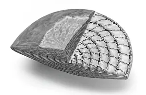 Celled: Foraminifer model