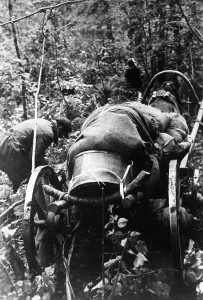 Territories: Forced displacement on the Eastern Front, 1942