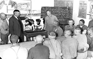 Lactation: Forced laborers are retrained for agriculture (1942)