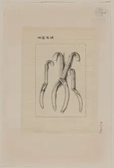 Forceps: Forceps?