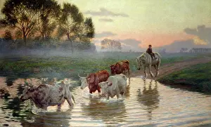 Brock: The Ford ' cattle crossing ford