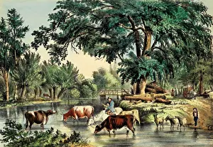 Drover: Fording the River with a cattle drive