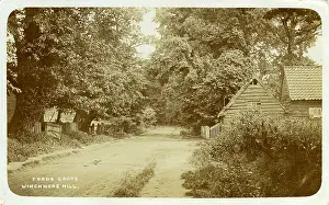 Grove: Fords Grove
